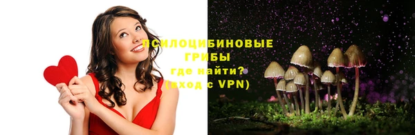 твердый Абаза
