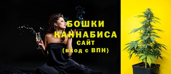 твердый Абаза