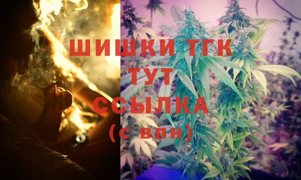 твердый Абаза